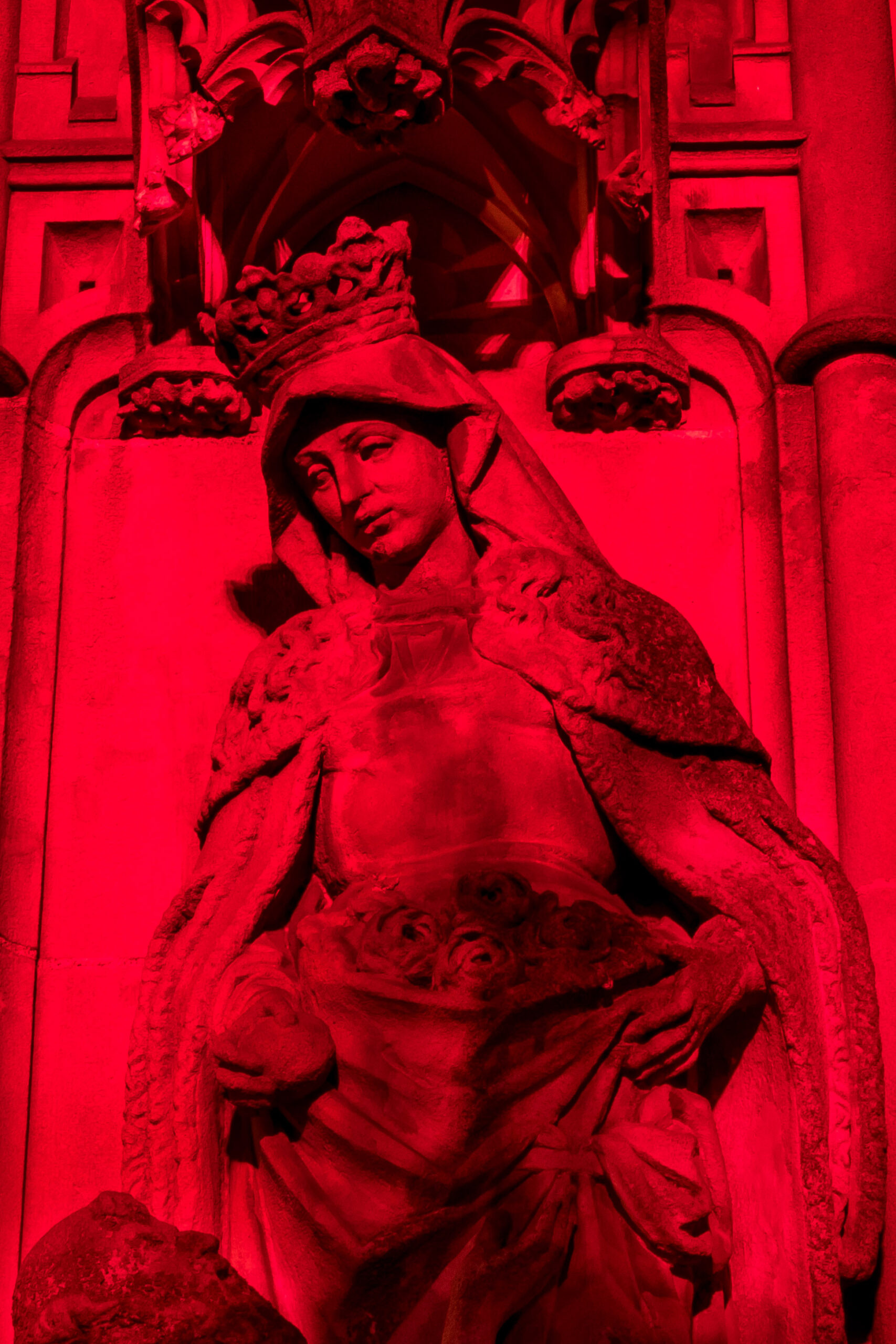 Acn 20231127 156523 scaled