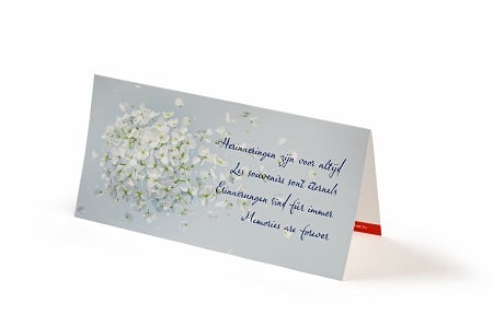 Wenskaart 'herinneringen zijn voor altijd'.