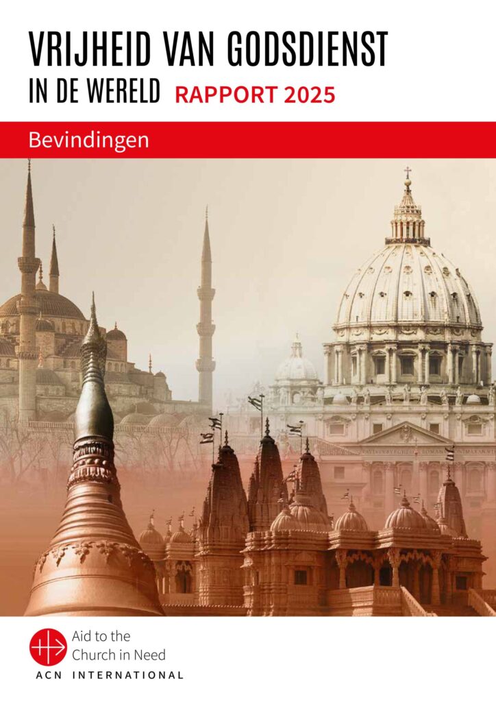 Executive summary 2025 be nl web afbeeldingen 0 scaled