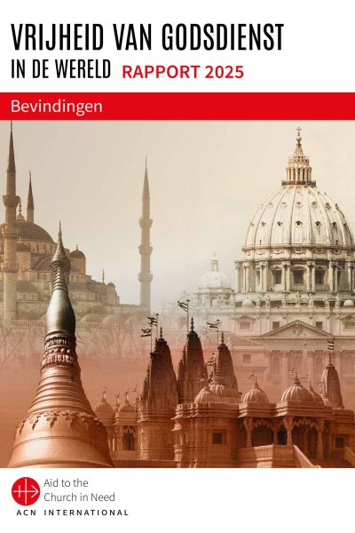 Executive Summary 2025 - BE NL web-afbeeldingen-0